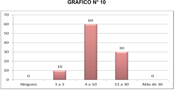 GRÁFICO N° 10 