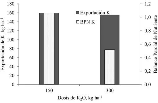 Figura 3. Exportación y balance parcial de K en el cultivo de plátano barraganete . 