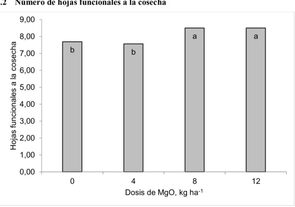 Figura 2. Dosis de MgO sobre el número de hojas funcionales a la cosecha 
