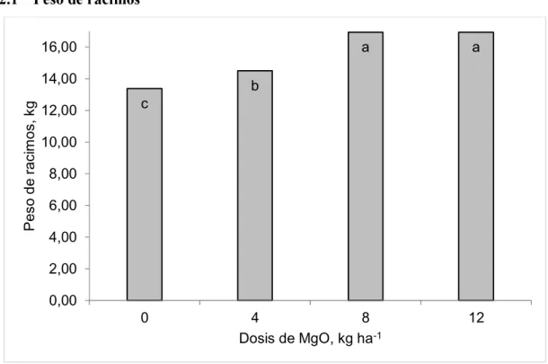 Figura 3. Dosis de MgO sobre el peso de racimos 