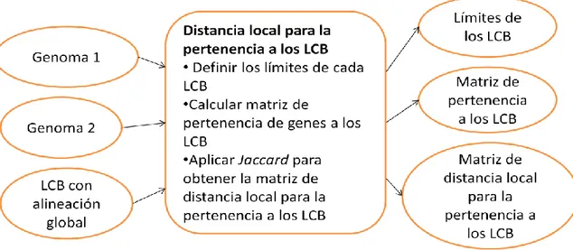 Figura 2.7 Esquema general para el cálculo de la matriz de distancia local para la pertenencia a los LCB