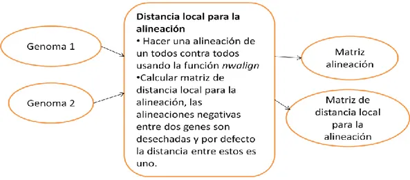 Figura 2.8 Esquema general para el cálculo de la matriz de distancia local para la alineación