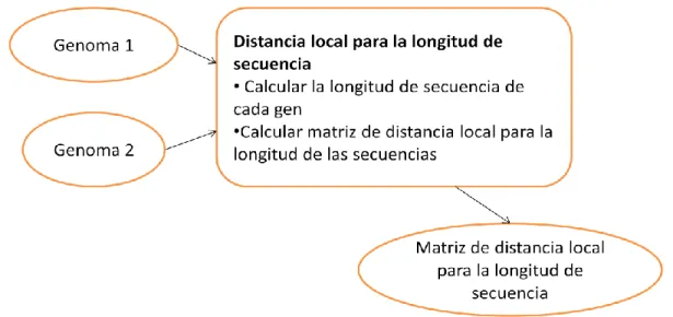 Figura 2.10 Esquema general para el cálculo de la matriz de distancia local para la longitud de secuencia