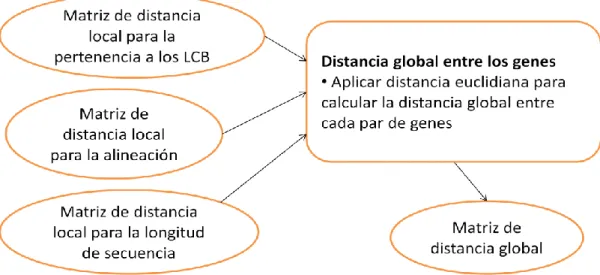 Figura 2.11 Esquema general para el cálculo de la matriz de distancia global 