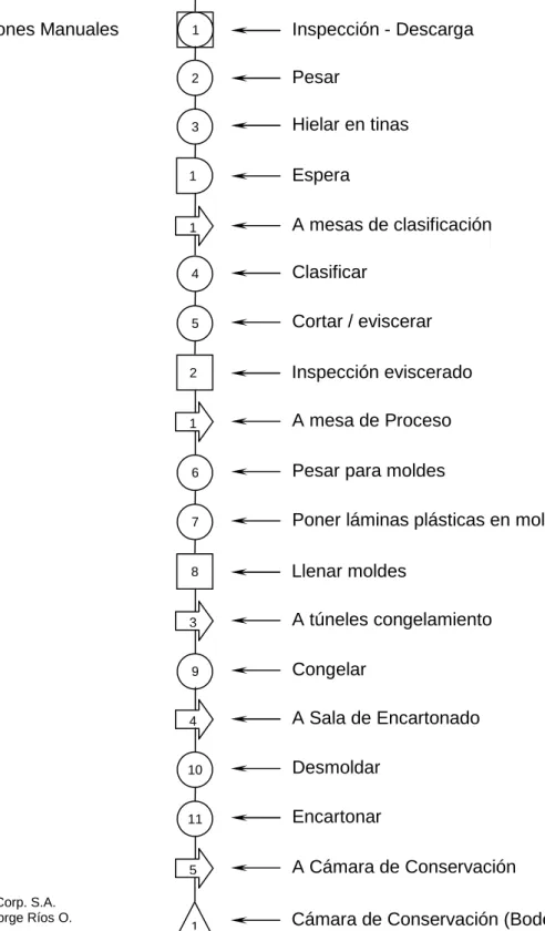 GRÁFICO No. 4 