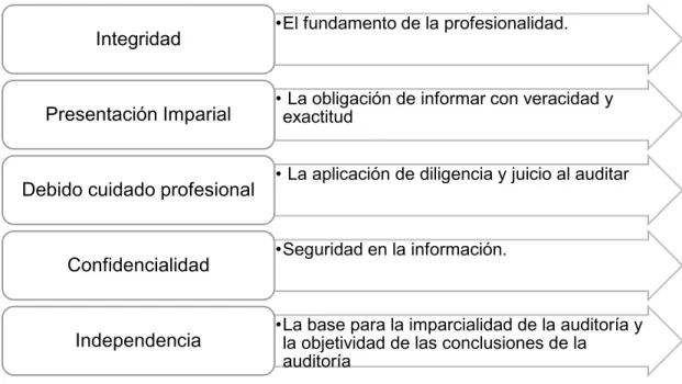 Gráfico 1 Principios de la Auditoría de Gestión 