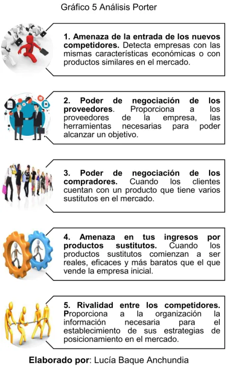 Gráfico 5 Análisis Porter 