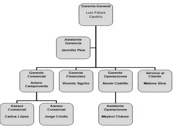 Figura 5. Organigrama de la empresa SECARINSA.  