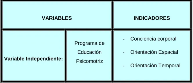 Tabla 1: Definición operacional de variables 