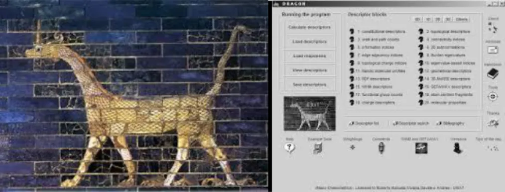 Figura 2. Software DRAGON 5.5 utilizado para calcular los descriptores moleculares. 