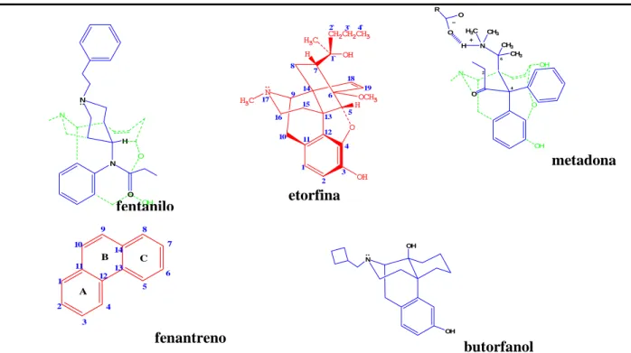Figura 6. Estructura de analgésicos opioides. 