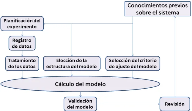 Fig 2.2: Proceso de identificación. 