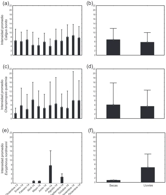 Figura  7.  Intensidad  promedio  mensual  y  temporal  de  las  especies  de  copépodos  parásitos frecuentes y abundantes que componen la comunidad de parásitos del dorado  Coryphaena hippurus