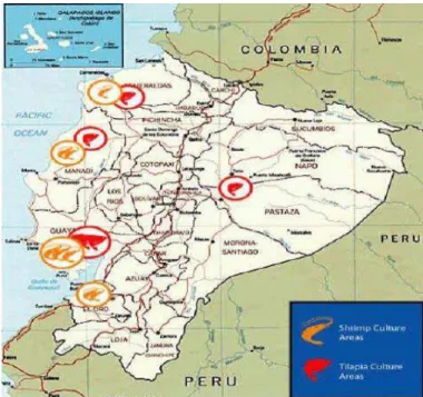 Fig. 1. Zonas de cultivo de la tilapia Roja (Oreochromis sp.) en el Ecuador.  (Proyecto SICA Bco