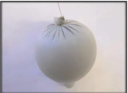 Fig. 1.5  Membrana llena de pasta de cemento 