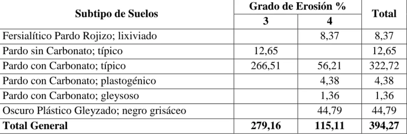 Tabla 3.4.  Grado de erosión por tipo de suelo en ha. 