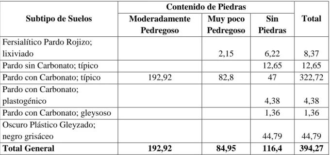 Figura 3.5. Porciento de piedras en el Polígono 