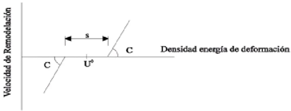 Figura 6. Respuesta no lineal adaptativa del hueso en función del estímulo energía de  deformación