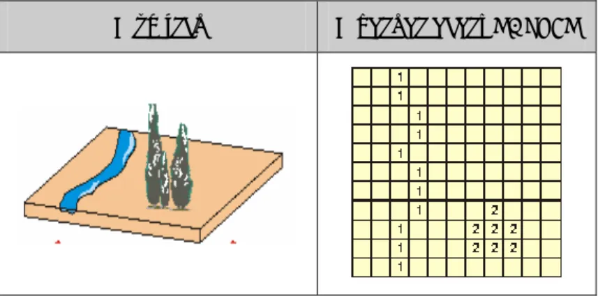 Figura 5. Exemple Model Raster (1) 