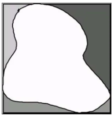 Figura 2. La imatge d’un llac seguint el model vectorial. 13
