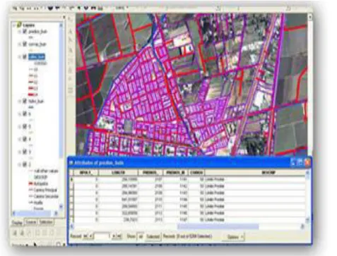 Figura 7. Visualización de datos con ArcView 