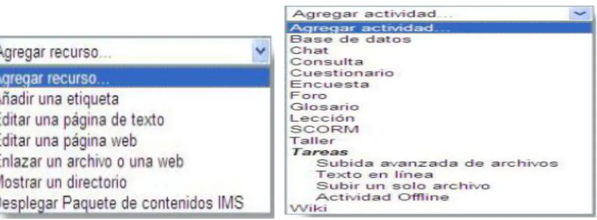 Figura 3.5 Iconos. 