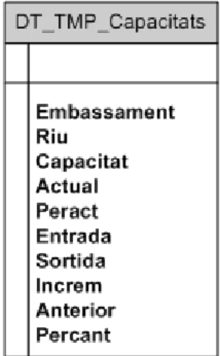 Figura 10. Taula DT_NET_CAPACITATS 