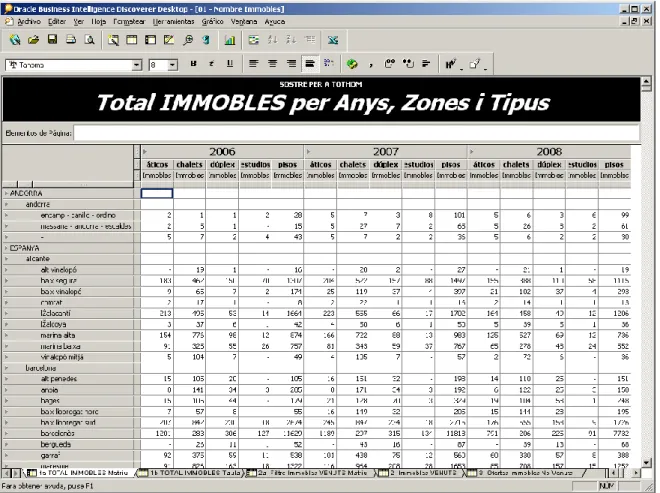 Figura 9 Matriu Total Immobles