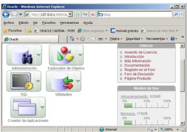 Figura 4 Logo Windows 