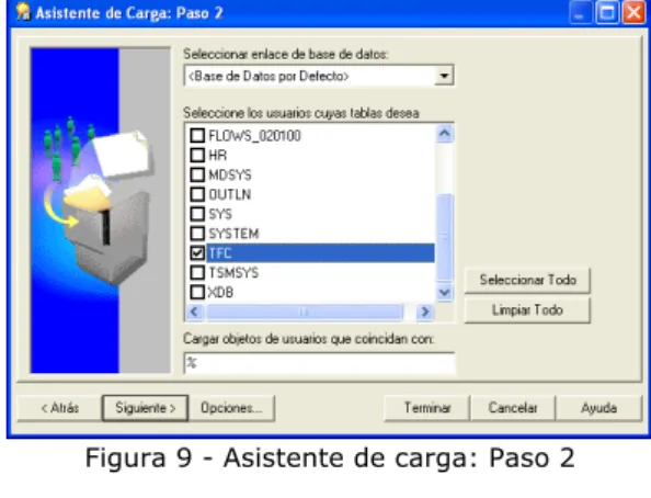 Figura 10 - Asistente de carga: Paso 3 