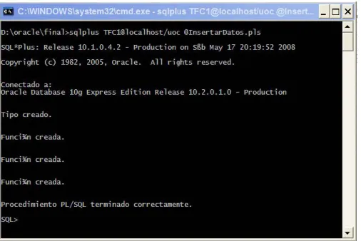 Figura 15  Ejecución del script de carga de datos 