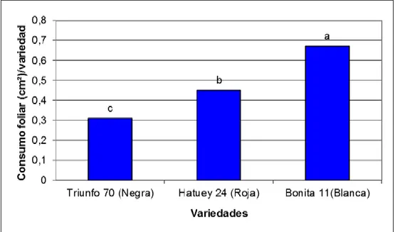Figura 3. Consumo foliar diario de dos especies de crisomélidos en el frijol común. 