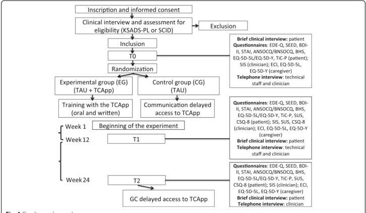 Fig. 1 Timeline and procedure