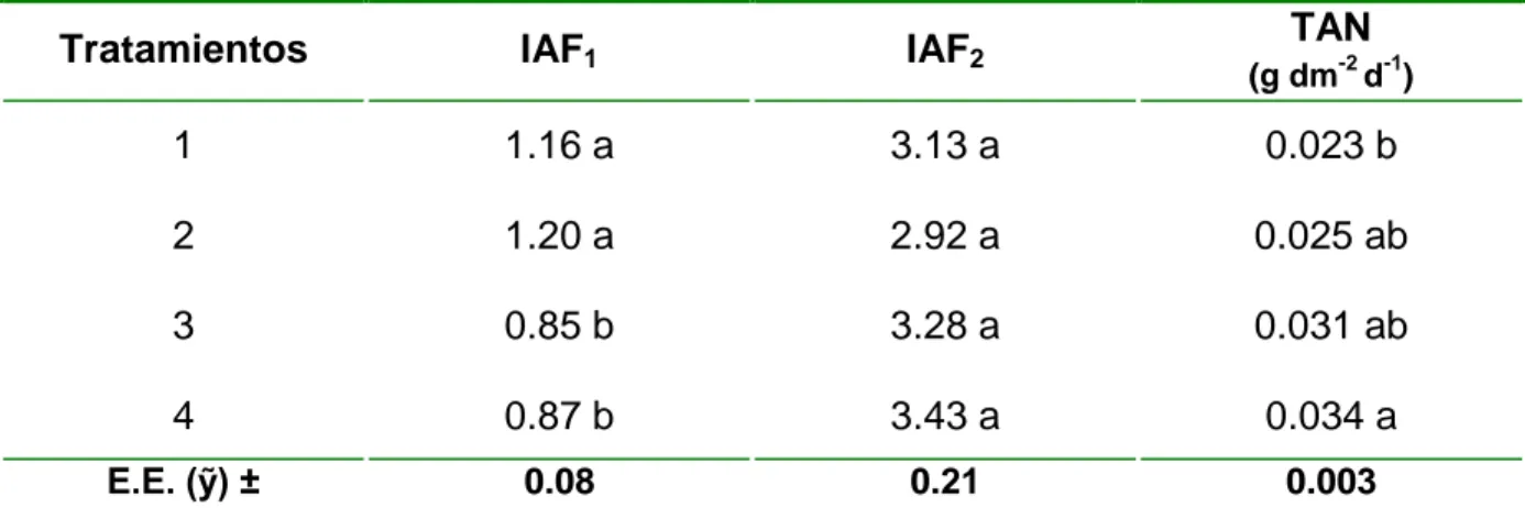 Tabla 2. Variación del índice de ara foliar (IAF) y tasa de asimilación neta (TAN) 