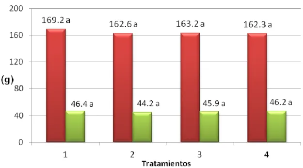 Figura 4. Peso de 100 frutos y de 100 semillas según los tratamientos. 