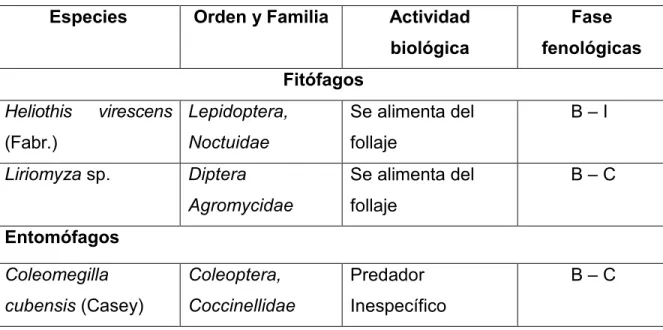 Tabla 4. Insectos asociados al cultivo del garbanzo 