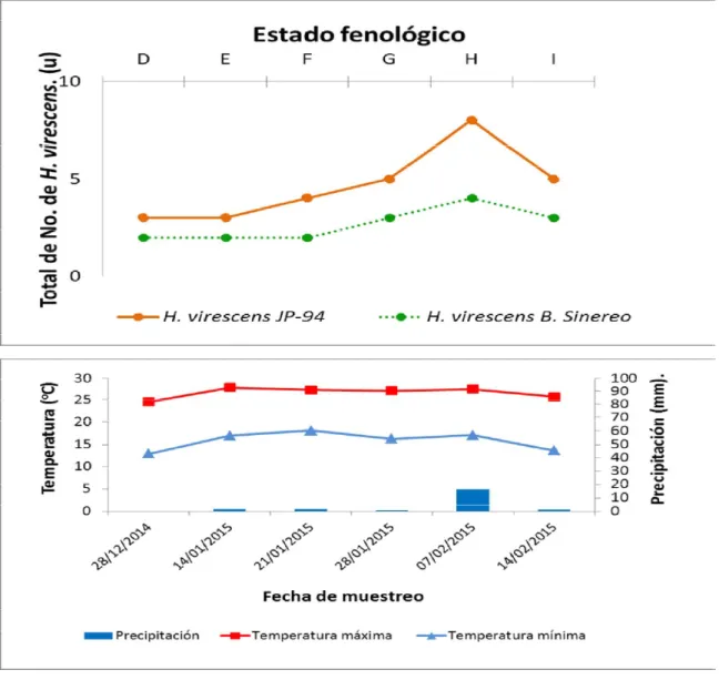 Figura 1. Incidencia de H. virescens, en JP­94 y Blanco Sinaloa, su relación con la  fenología y las variables climáticas