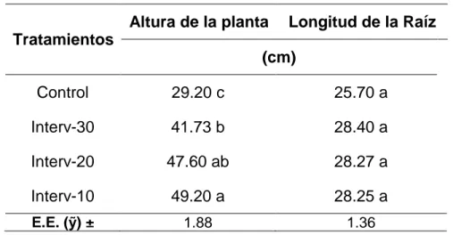 Tabla 1. Altura de la planta, longitud de la raíz  según los tratamientos. 