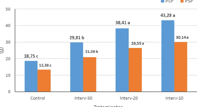 Figura 3. Determinación del peso de legumbres (PLP) y semillas (PSP) por planta  según el tratamiento