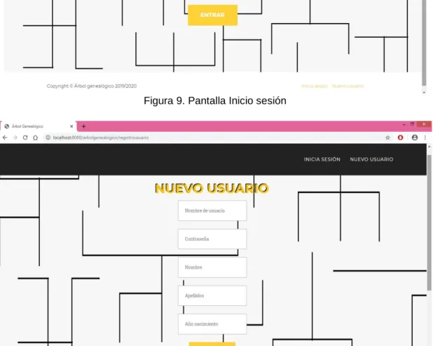 Figura 10. Pantalla Registro 
