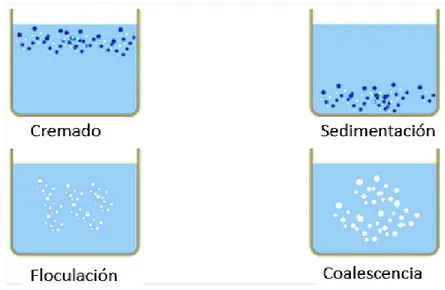 Figura 1.1: Principales procesos de inestabilidad en emulsiones 