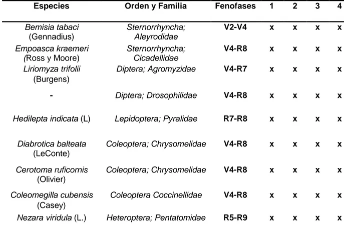 Tabla 2. Inventario de fitófagos y depredadores asociadas al frijol común 