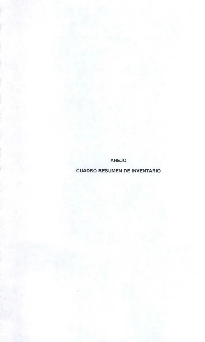 CUADRO RESUMEN DE INVENTARIO