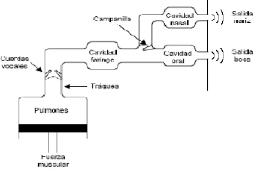 Figura 3. Modelo funcional de generación de voz. 