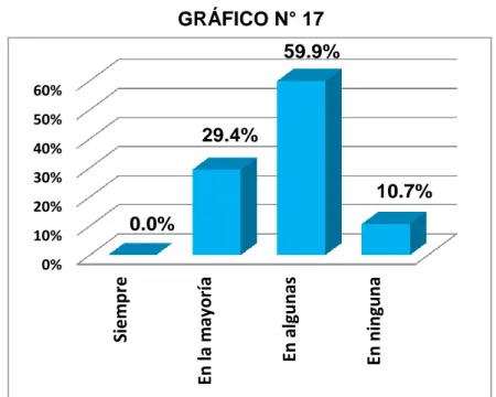 GRÁFICO N° 17 