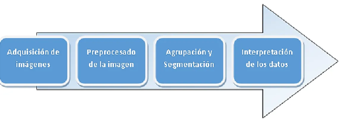 Figura 2: Pasos a implementar por la aplicación a desarrollar 