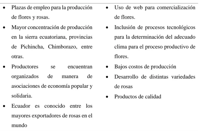 Tabla 8. Matriz de riesgo y coberturas del sector florícola 