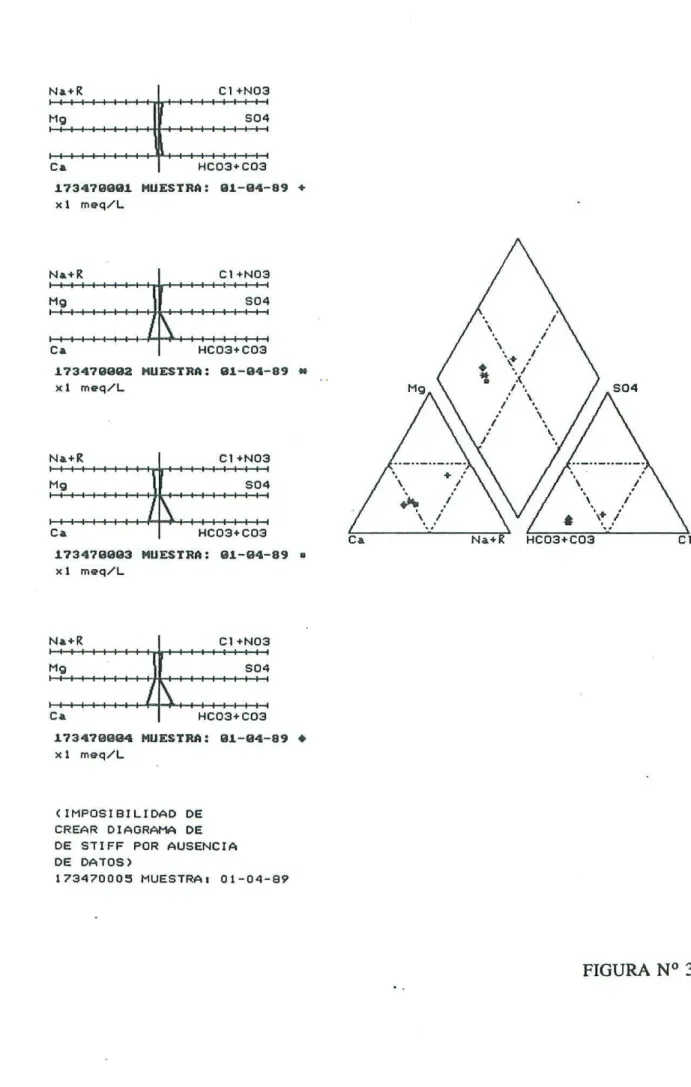 FIGURA NO 3