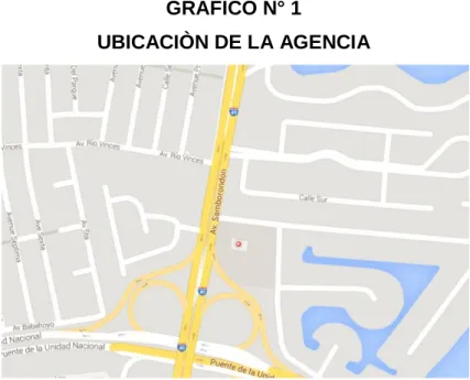 GRÁFICO N° 1 