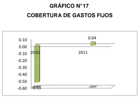 GRÁFICO N° 17 